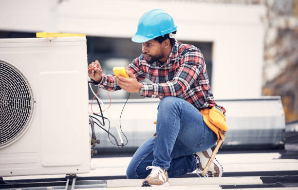 Best Local Electrician Companies  in Big Le, AK